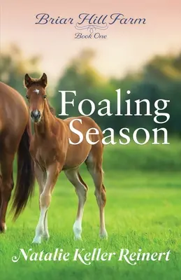 Temporada de partos - Foaling Season