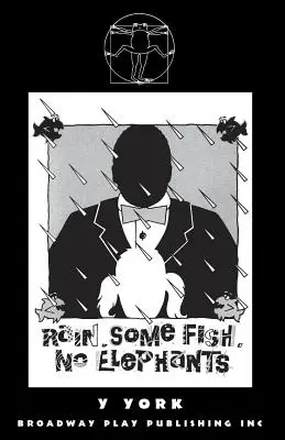 Rain. Algunos peces. No Elephants. - Rain. Some Fish. No Elephants.