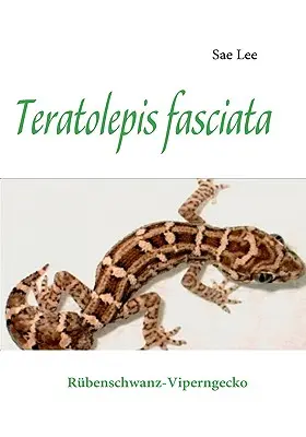 Teratolepis fasciata: Rbenschwanz-Viperngecko