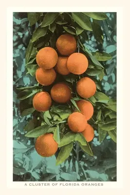 Diario Vintage Florida Oranges - Vintage Journal Florida Oranges