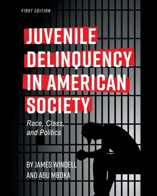 La delincuencia juvenil en la sociedad estadounidense: Raza, clase y política - Juvenile Delinquency in American Society: Race, Class, and Politics