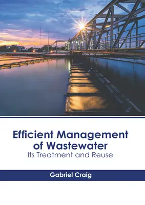 Gestión Eficiente de las Aguas Residuales: Su Tratamiento y Reutilización - Efficient Management of Wastewater: Its Treatment and Reuse