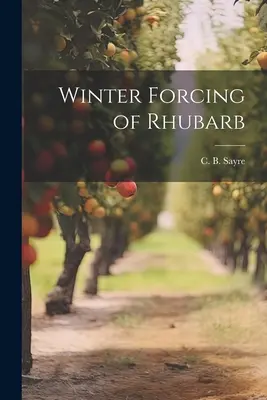Forzado invernal del ruibarbo - Winter Forcing of Rhubarb