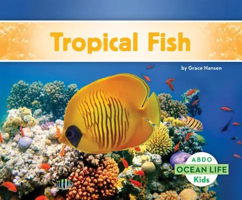 Peces tropicales - Tropical Fish