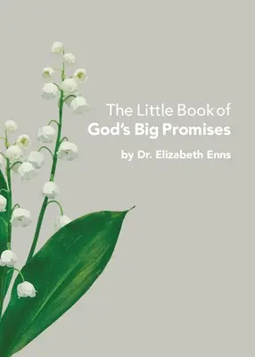 El pequeño libro de las grandes promesas de Dios - The Little Book of God's Big Promises