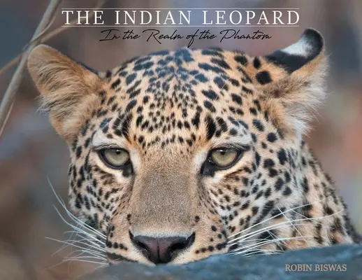 El leopardo indio: en el reino de los fantasmas - The Indian Leopard: In the Realm of the Phantom