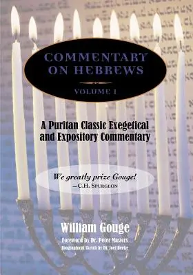 Comentario sobre Hebreos: Exegético y expositivo - Tomo 1 (PB) - Commentary on Hebrews: Exegetical & Expository - Vol. 1 (PB)