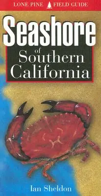 Costa del Sur de California - Seashore of Southern California