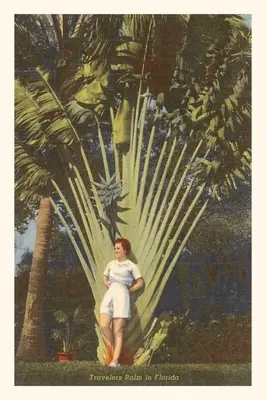 Diario Vintage Travelers Palm, Florida - Vintage Journal Travelers Palm, Florida