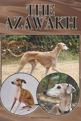 El Azawakh: Una guía completa y exhaustiva para principiantes: Compra, Tenencia, Salud, Aseo, Adiestramiento, Obediencia, Comprensión - The Azawakh: A Complete and Comprehensive Beginners Guide To: Buying, Owning, Health, Grooming, Training, Obedience, Understanding