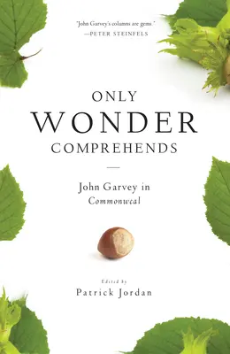 Sólo la maravilla comprende: John Garvey en Commonweal - Only Wonder Comprehends: John Garvey in Commonweal