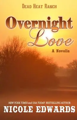 Amor nocturno - Overnight Love