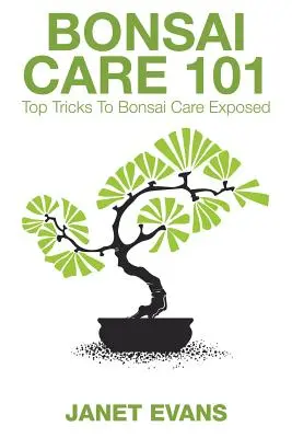 Cuidado del Bonsái 101: Los mejores trucos para el cuidado del Bonsái al descubierto - Bonsai Care 101: Top Tricks to Bonsai Care Exposed