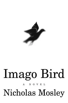 Imago Bird