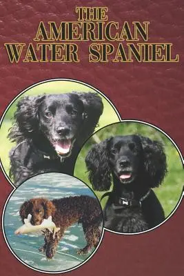 El American Water Spaniel: Guía completa para principiantes: Compra, Tenencia, Salud, Aseo, Adiestramiento, Obediencia, Comprensión - The American Water Spaniel: A Complete and Comprehensive Beginners Guide To: Buying, Owning, Health, Grooming, Training, Obedience, Understanding