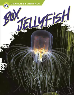 Medusa de caja - Box Jellyfish