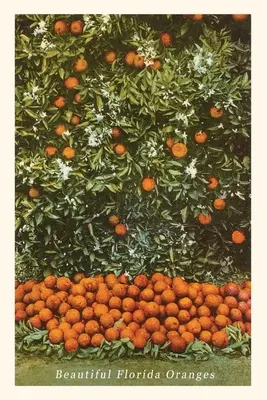 Diario Vintage Naranjas, Florida - Vintage Journal Oranges, Florida