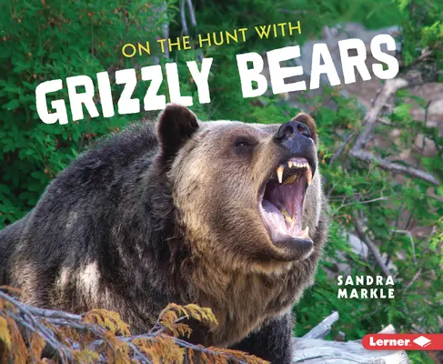 A la caza del oso pardo - On the Hunt with Grizzly Bears