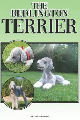 El Bedlington Terrier: A Complete and Comprehensive Beginners Guide To: Comprar, Tener, Salud, Aseo, Adiestramiento, Obediencia, Comprensión - The Bedlington Terrier: A Complete and Comprehensive Beginners Guide To: Buying, Owning, Health, Grooming, Training, Obedience, Understanding