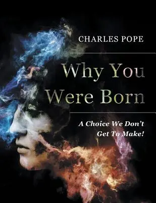 Por qué naciste: una decisión que no podemos tomar - Why You Were Born: A Choice We Don't Get To Make!