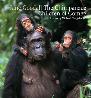 Niños chimpancé de Gombe - Chimpanzee Children of Gombe