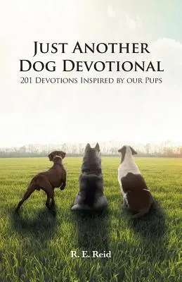 La historia de Esther Libro de actividades para principiantes Elektra: una obra de Ezra Pound - Just Another Dog Devotional: 201 Devotions Inspired by Our Pups