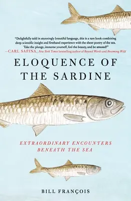 La Elocuencia de la Sardina: Encuentros Extraordinarios Bajo el Mar - Eloquence of the Sardine: Extraordinary Encounters Beneath the Sea