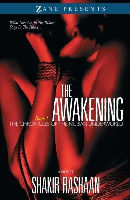 Despertar: Primer libro de las Crónicas del hampa de Nubia - Awakening: Book One of the Chronicles of the Nubian Underworld