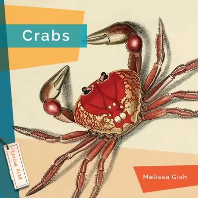 Cangrejos - Crabs