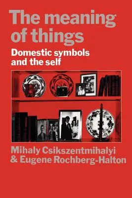 El significado de las cosas: Símbolos domésticos y el yo - The Meaning of Things: Domestic Symbols and the Self