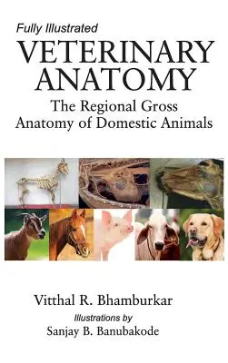 Anatomía veterinaria: La anatomía macroscópica regional de los animales domésticos: Completamente Ilustrada - Veterinary Anatomy: The Regional Gross Anatomy of the Domestic Animals: Fully Illustrated