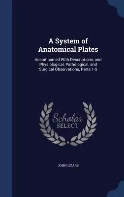 A System of Anatomical Plates: Acompañado de descripciones y observaciones fisiológicas, patológicas y quirúrgicas, Partes 1-5 - A System of Anatomical Plates: Accompanied With Descriptions, and Physiological, Pathological, and Surgical Observations, Parts 1-5