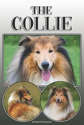 El Collie: Una guía completa y exhaustiva de los propietarios de: La compra, la propiedad, la salud, el aseo, el adiestramiento, la obediencia, la comprensión y la - The Collie: A Complete and Comprehensive Owners Guide To: Buying, Owning, Health, Grooming, Training, Obedience, Understanding and