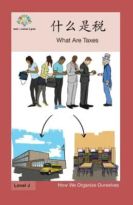 什么是税: Qué son los impuestos - 什么是税: What Are Taxes