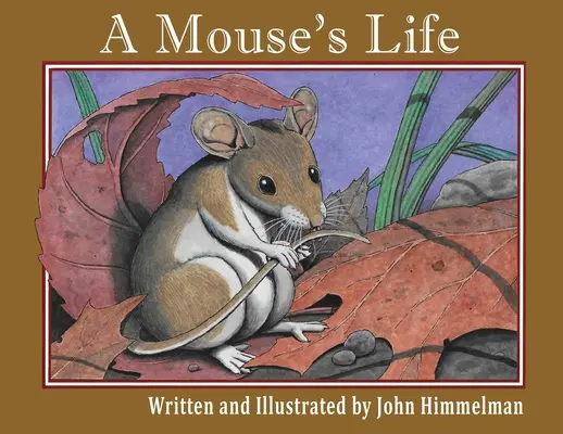 La vida de un ratón - A Mouse's Life