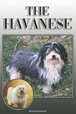 El Habanero: Una guía completa y exhaustiva de los propietarios de: La compra, la propiedad, la salud, el aseo, el adiestramiento, la obediencia, la comprensión y la - The Havanese: A Complete and Comprehensive Owners Guide To: Buying, Owning, Health, Grooming, Training, Obedience, Understanding and