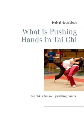 Qué es empujar las manos en Tai Chi - What is Pushing Hands in Tai Chi