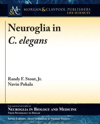 Neuroglía en C. elegans - Neuroglia in C. elegans