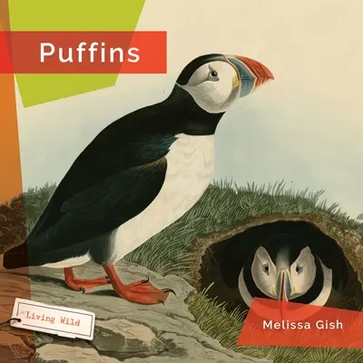 Frailecillos - Puffins