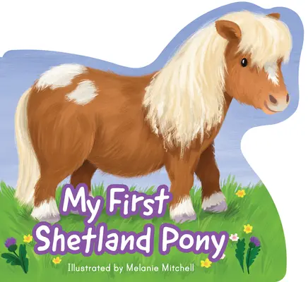 Mi primer poni Shetland - My First Shetland Pony