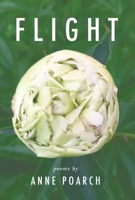 Vuelo: de mariposas y petirrojos y otros sueños alados - Flight: of butterflies and robins and other winged dreams