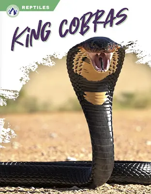 Rey Cobra - King Cobras