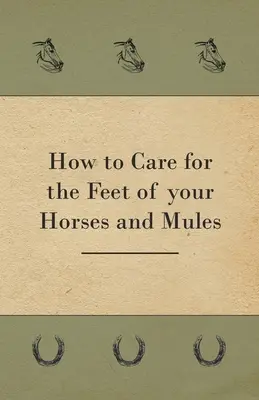 Cómo cuidar los pies de sus caballos y mulas - How to Care for the Feet of your Horses and Mules