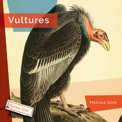 Buitres - Vultures