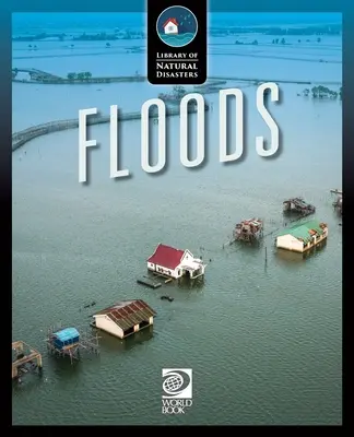 Inundaciones - Floods
