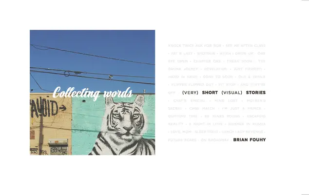 Coleccionando palabras: Historias visuales breves - Collecting Words: Short Visual Stories