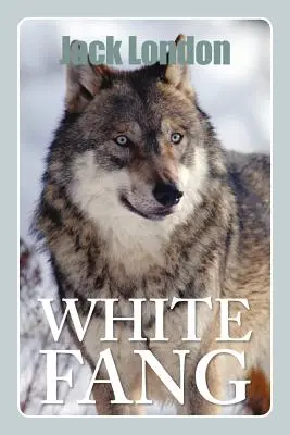 Colmillo Blanco - White Fang