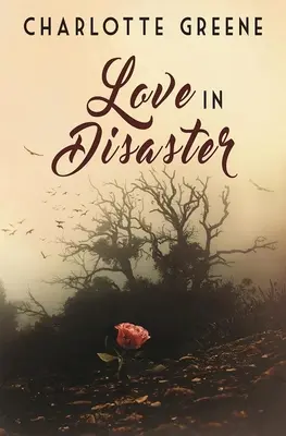 Amor en el desastre - Love in Disaster