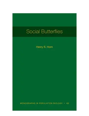 Mariposas sociales - Social Butterflies