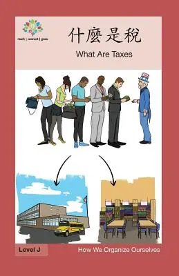 什麼是稅: Qué son los impuestos - 什麼是稅: What Are Taxes